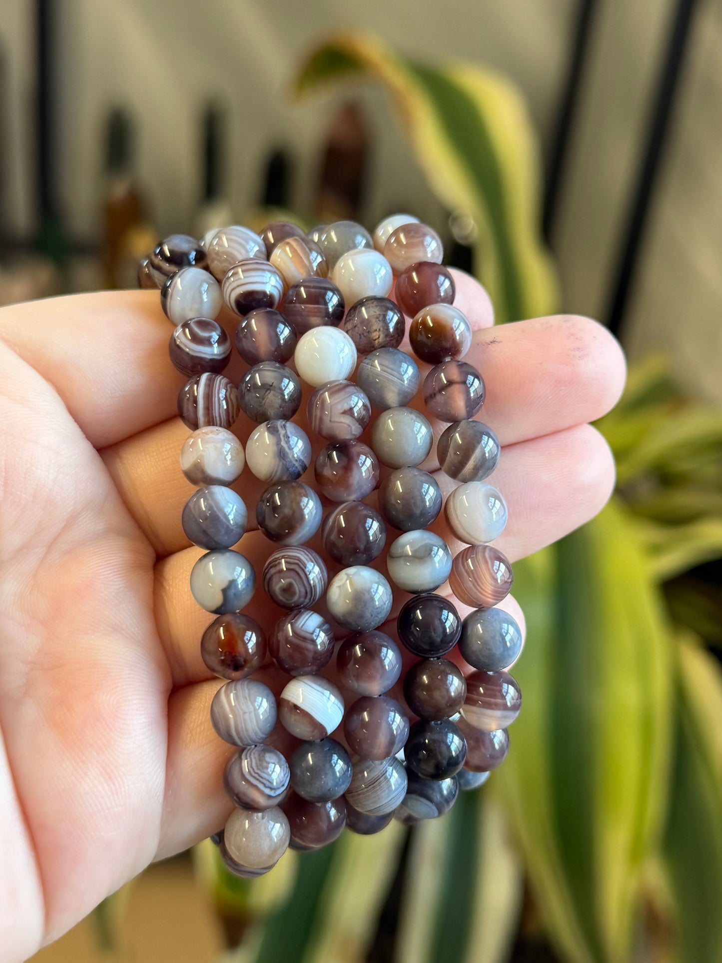botswana agate bracelet 8mm