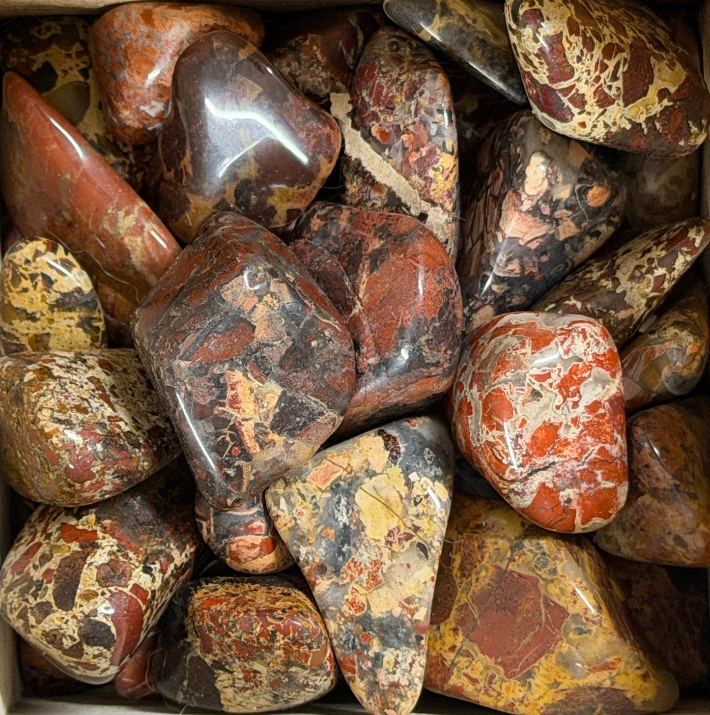 white brecciated jasper tumbles