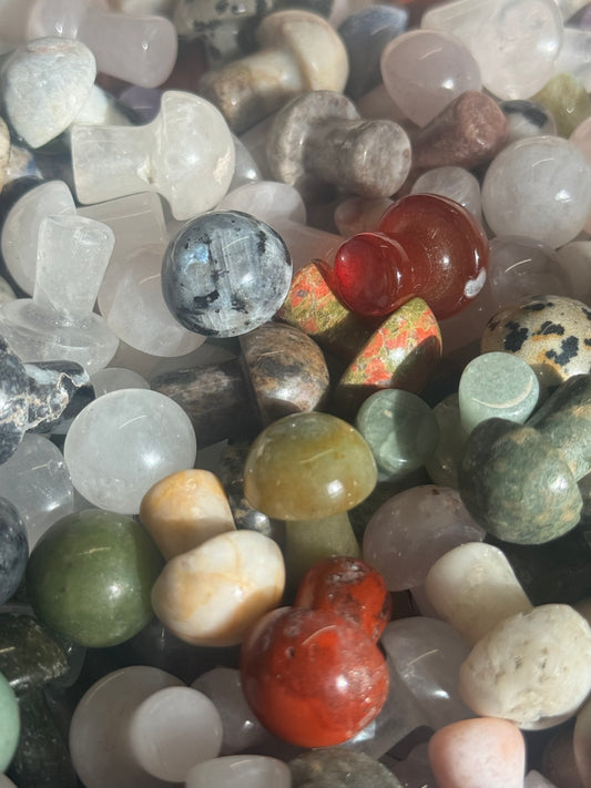 mini mushroom | intuitively chosen