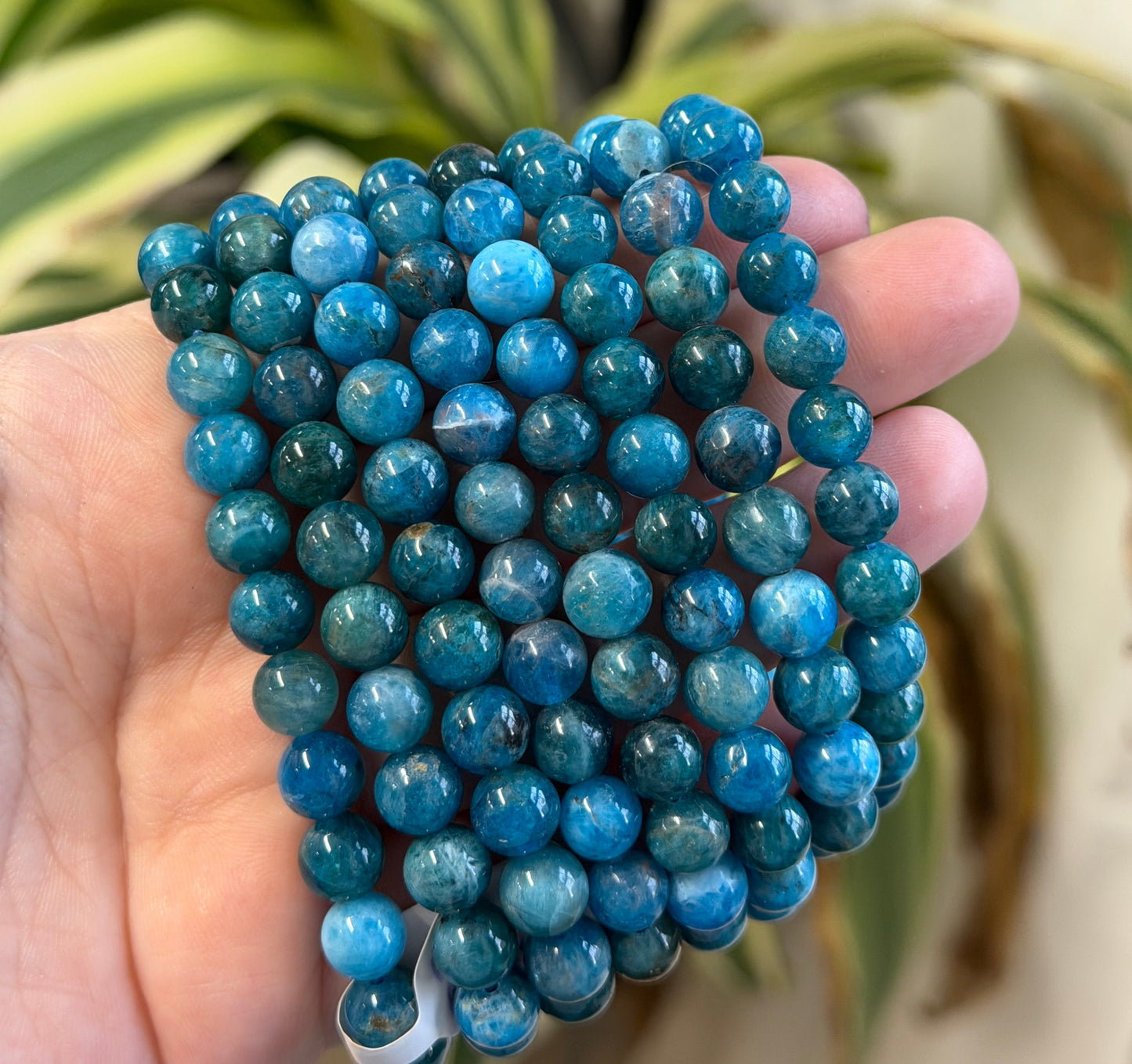 blue apatite bracelet 8mm