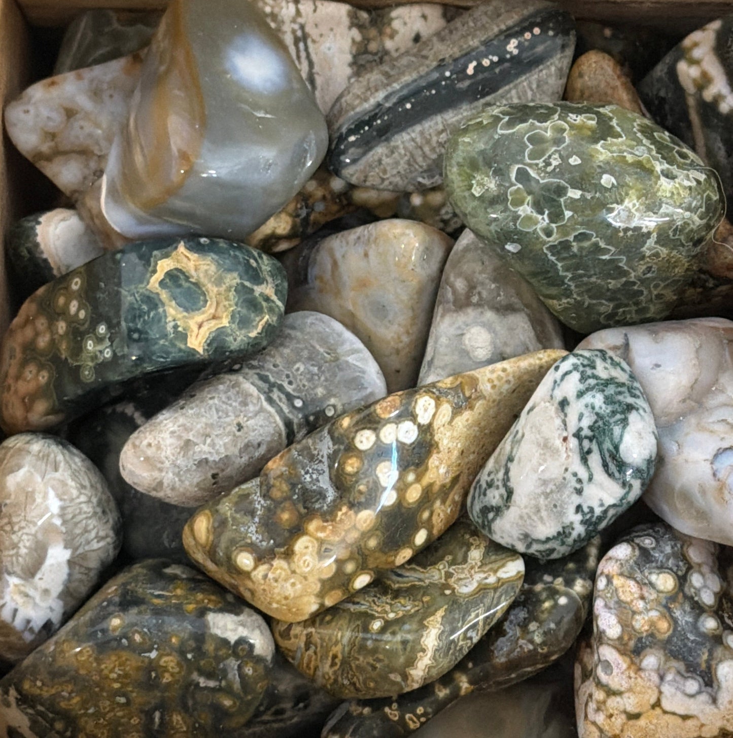 orbicular sea jasper tumbles