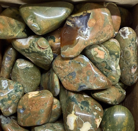 rainforest rhyolite jasper tumbles