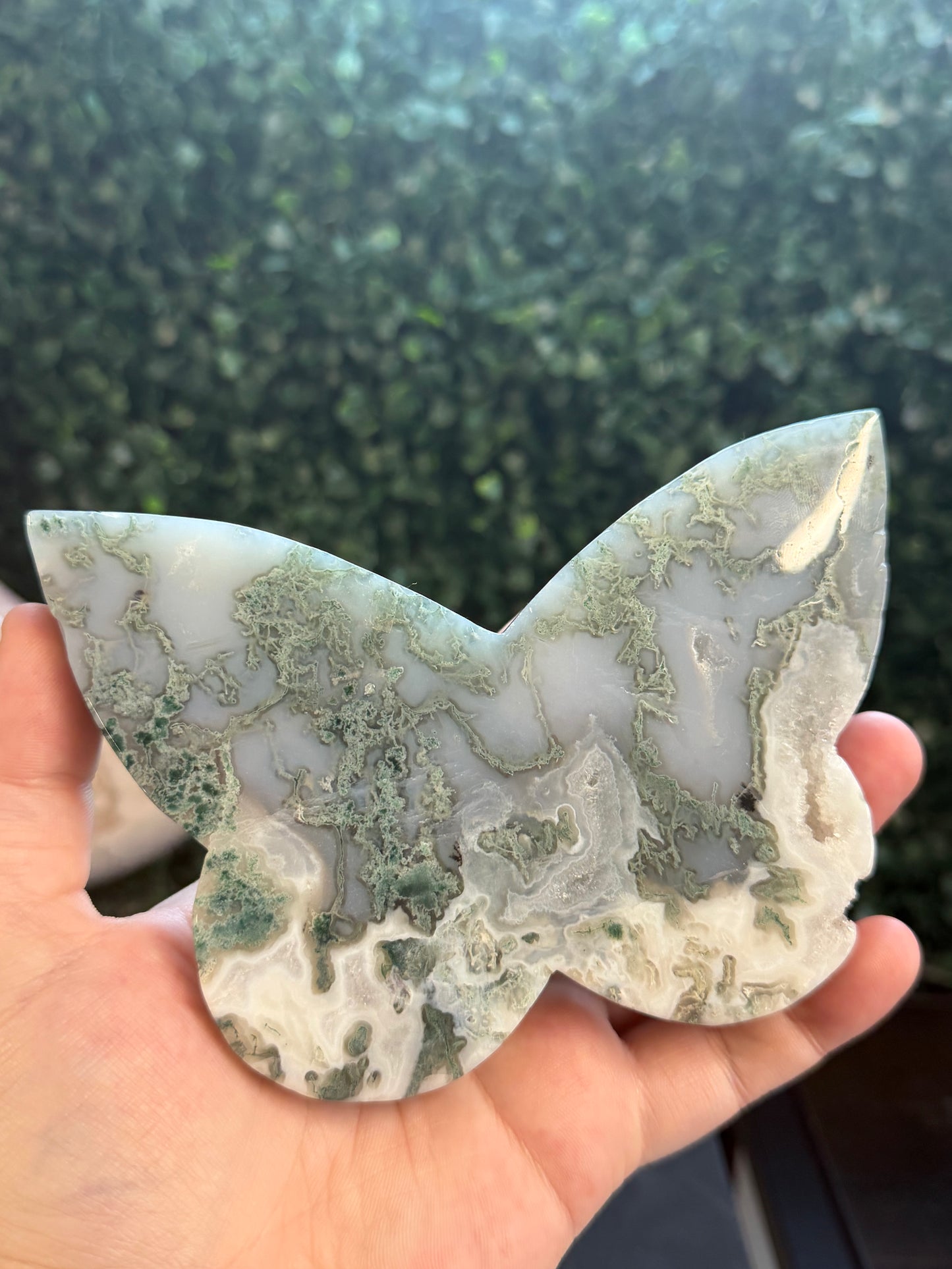 moss agate butterfly