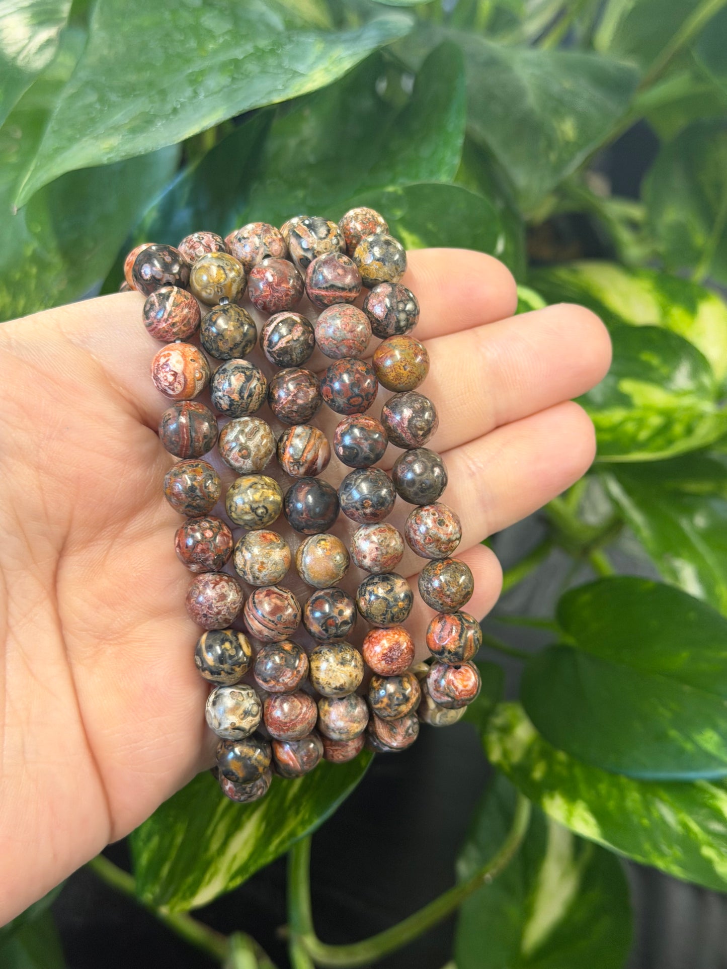 leopardskin jasper bracelet 8mm