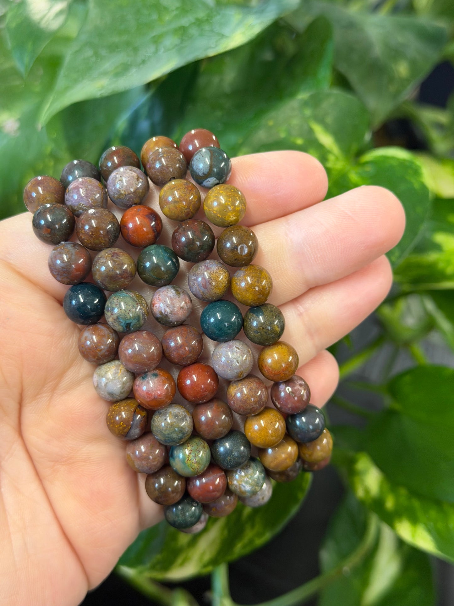 sea jasper bracelet 8mm
