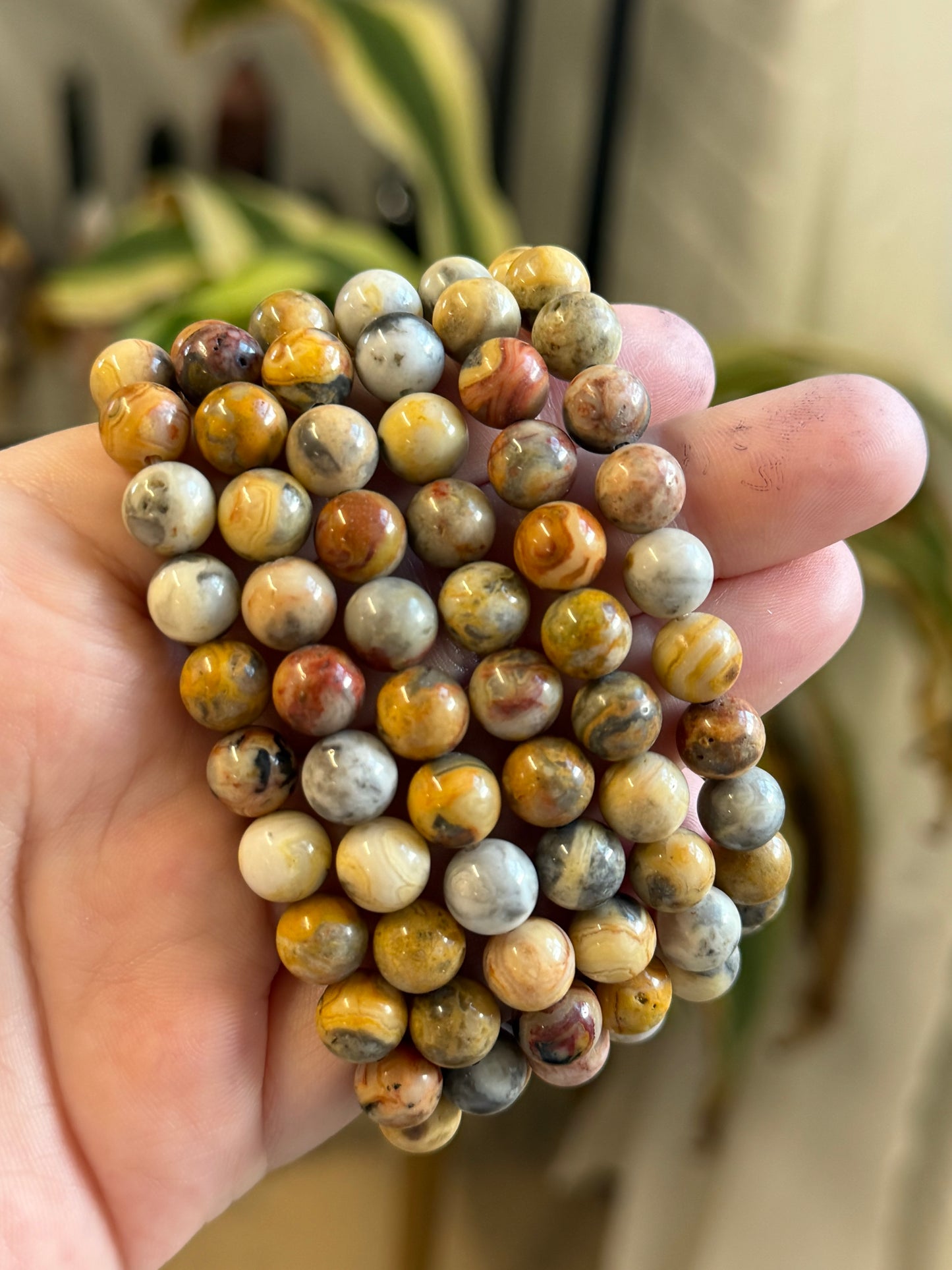 crazy lace agate bracelet 8mm
