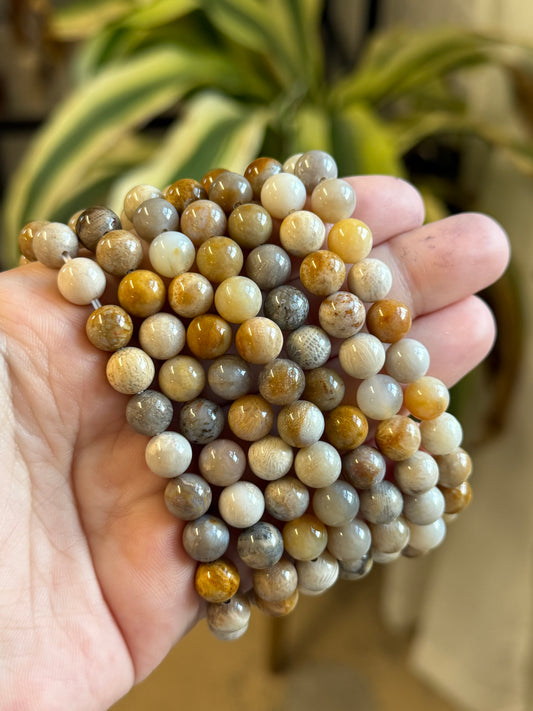 fossilized coral bracelet 8mm