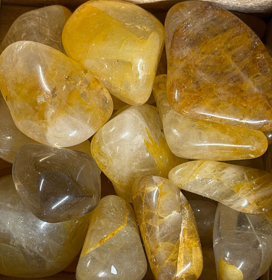 golden healer tumbles