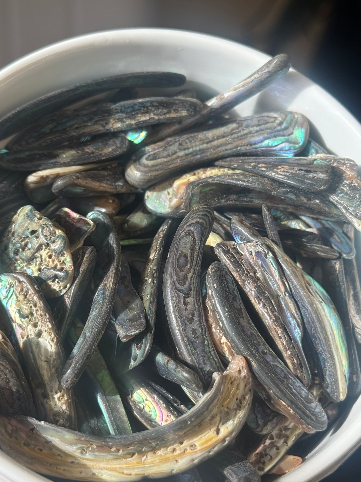 abalone shell sliver