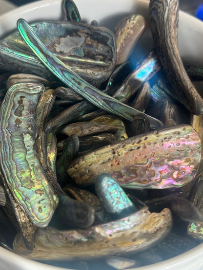 abalone shell sliver