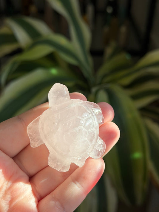 mini turtle carvings