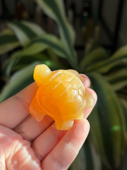 mini turtle carvings