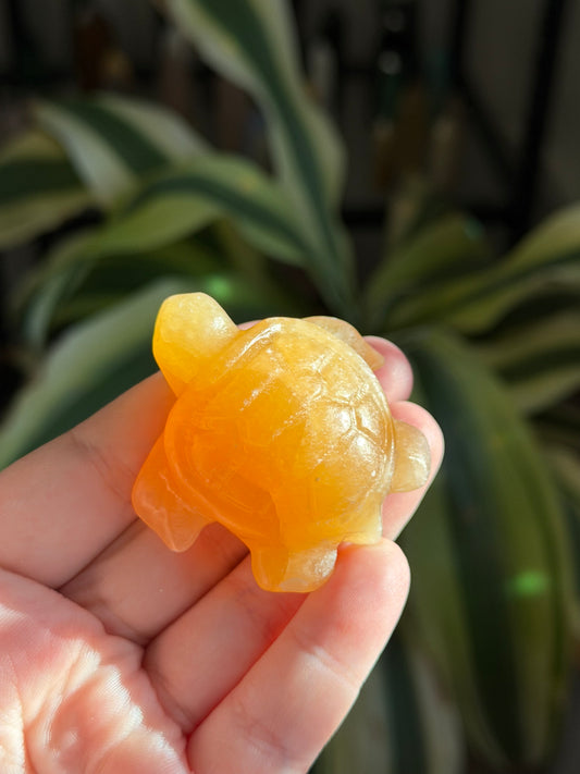 mini turtle carvings