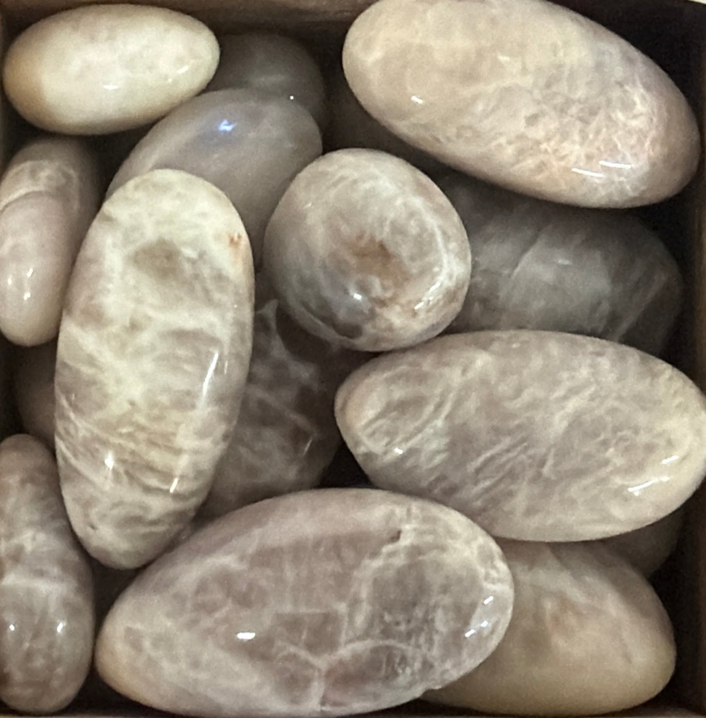 black moonstone & sunstone tumbles