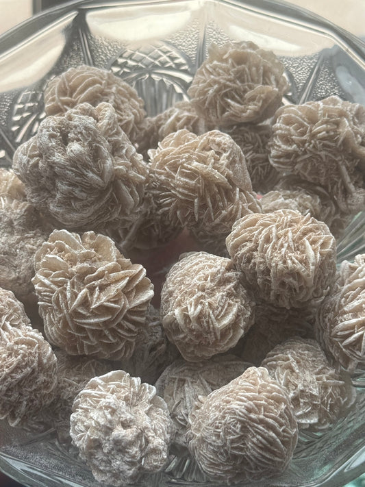 XL desert rose