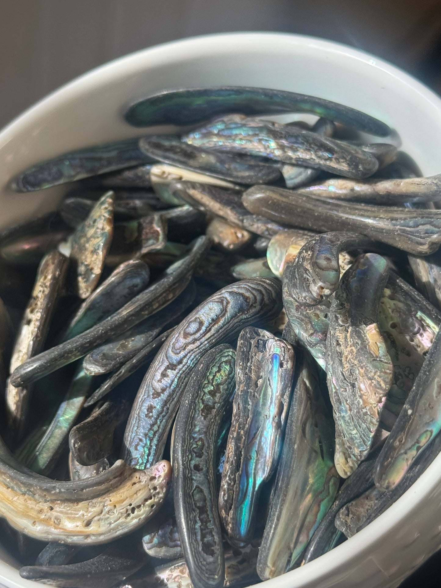 abalone shell sliver