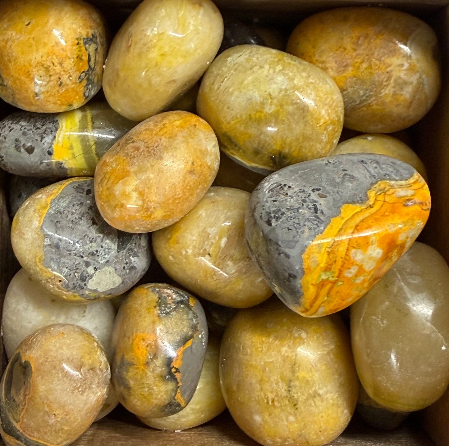 bumblebee jasper tumbles