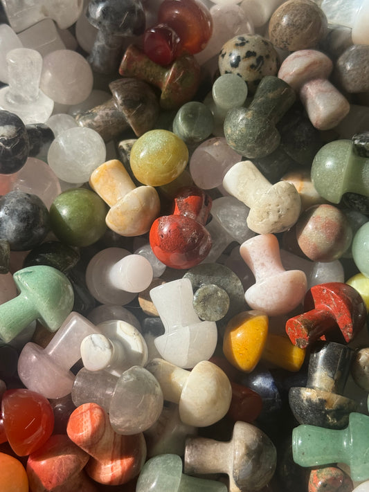 mini mushroom | intuitively chosen