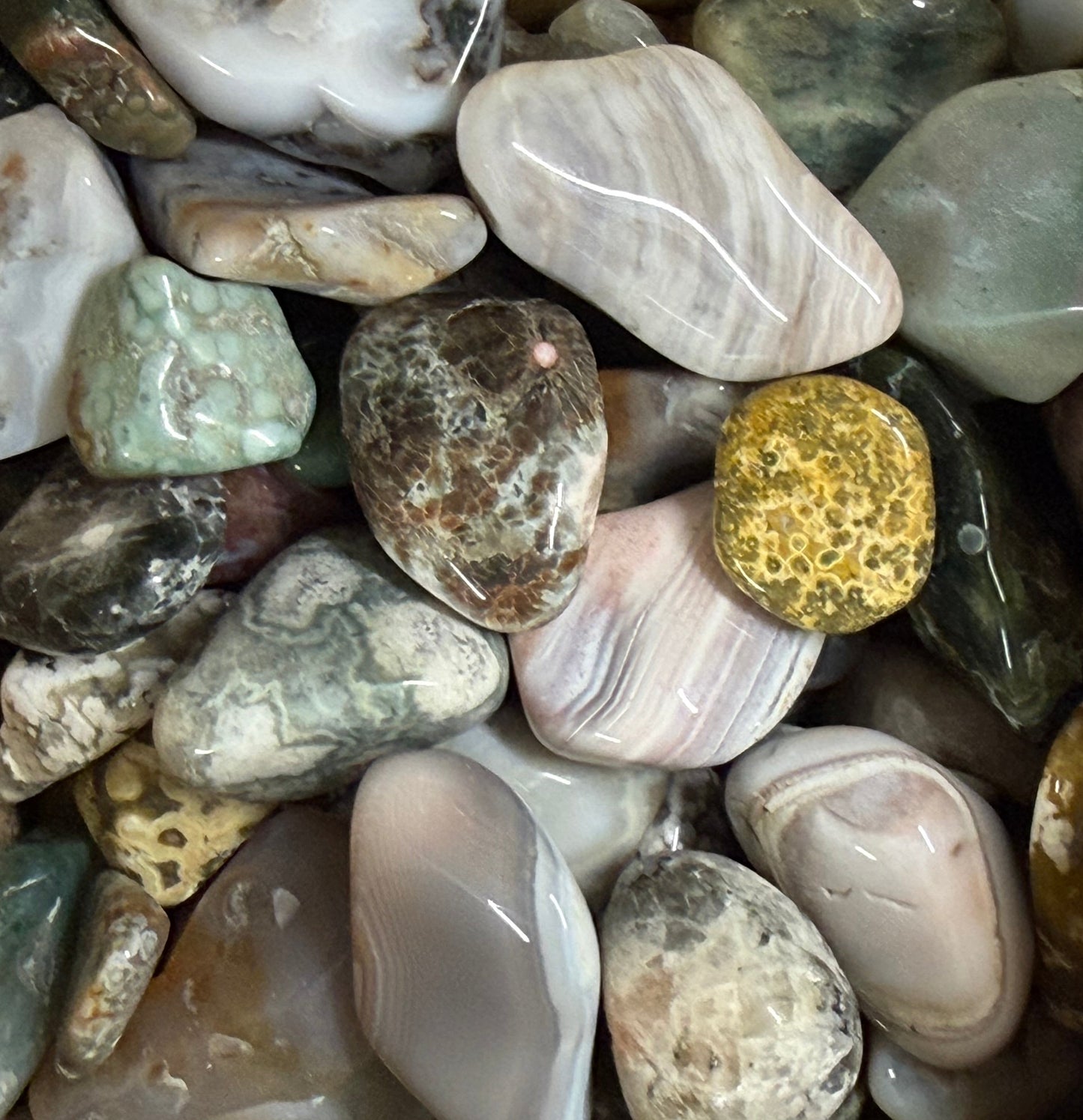 small 8th vein ocean jasper tumbles