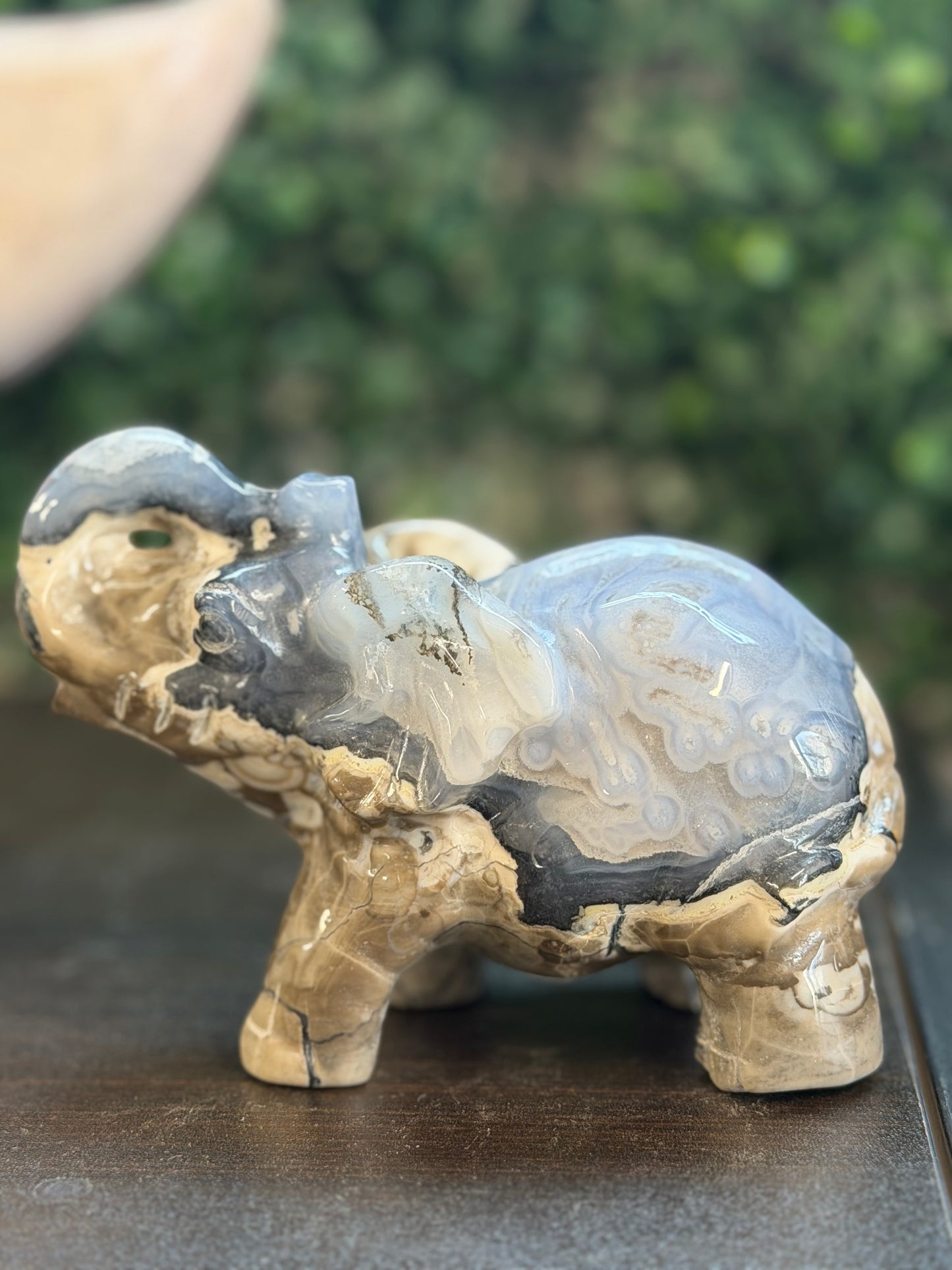 volcano agate elephant