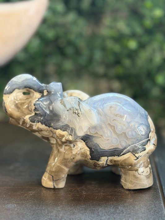 volcano agate elephant