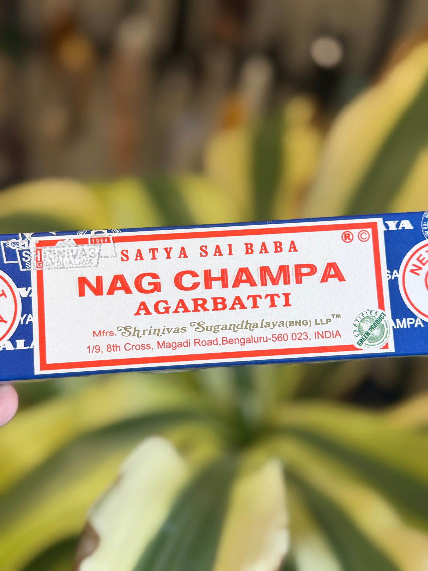 incense sticks