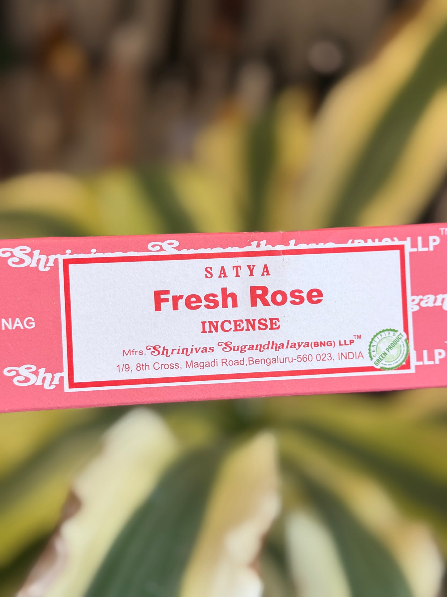 incense sticks