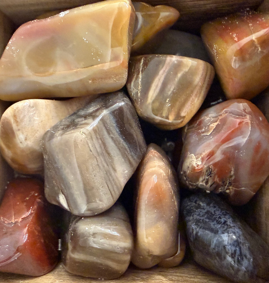 petrified wood tumbles
