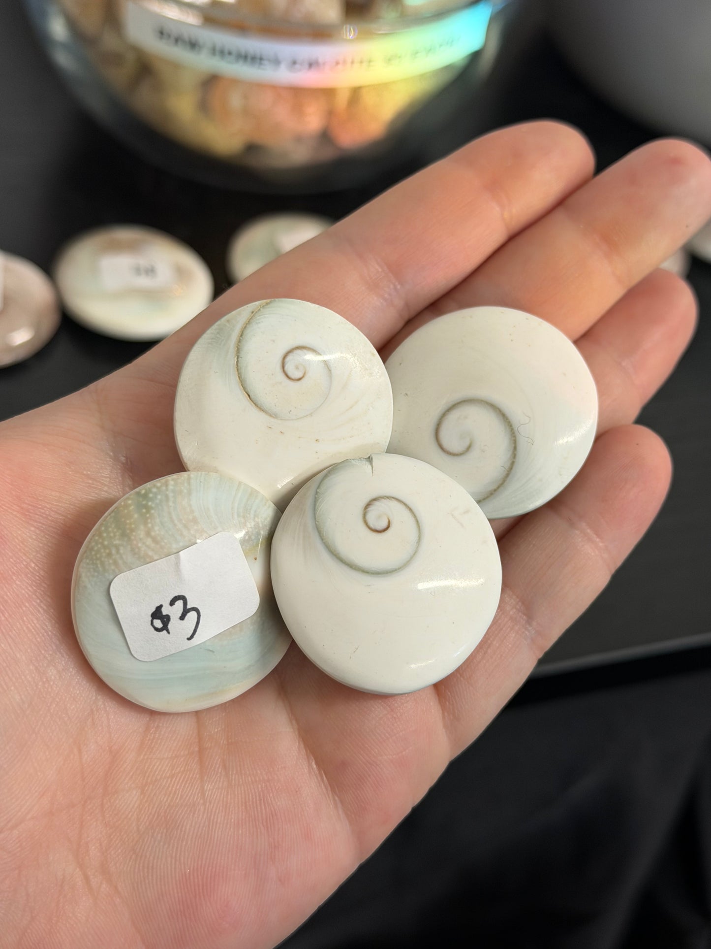 shiva eye shells