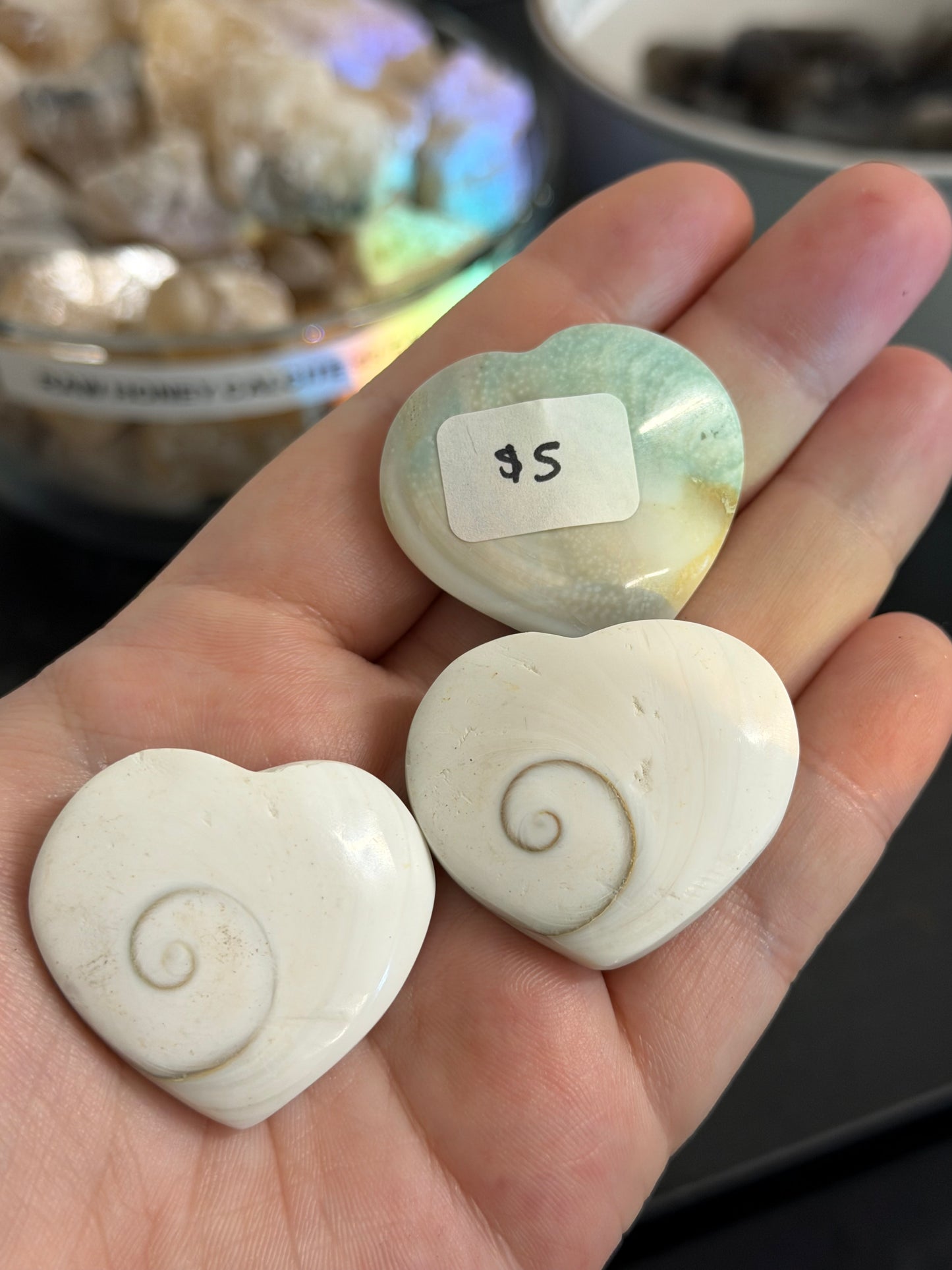 shiva eye shells