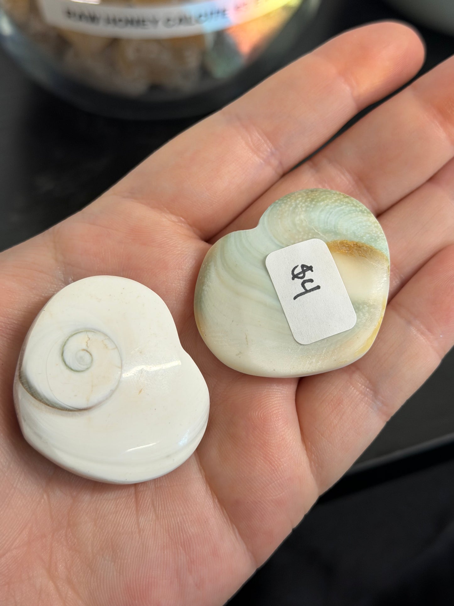 shiva eye shells