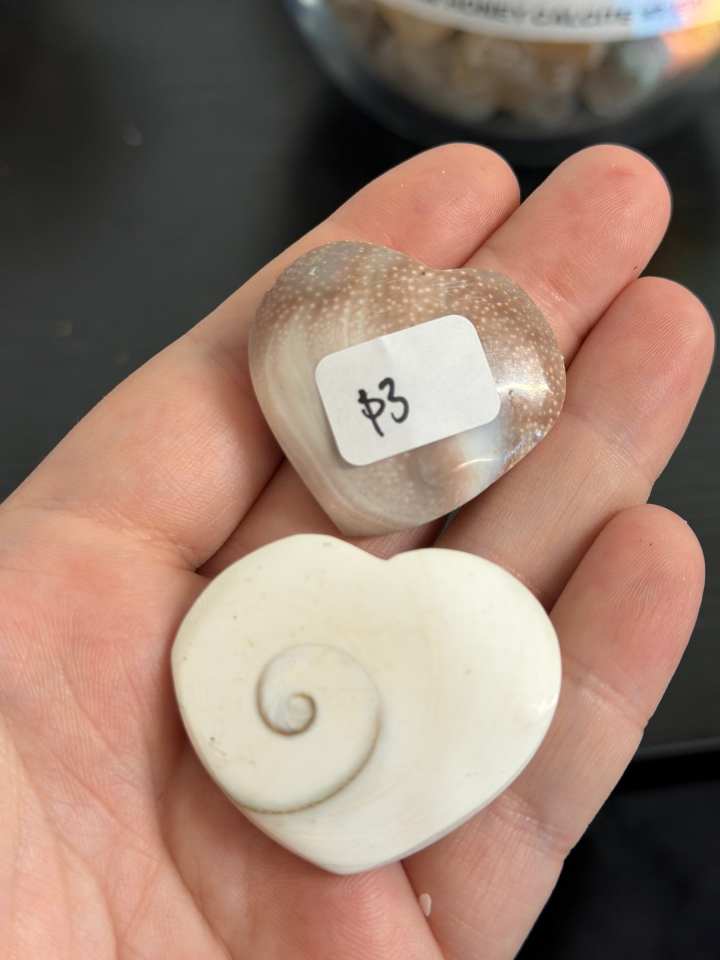 shiva eye shells