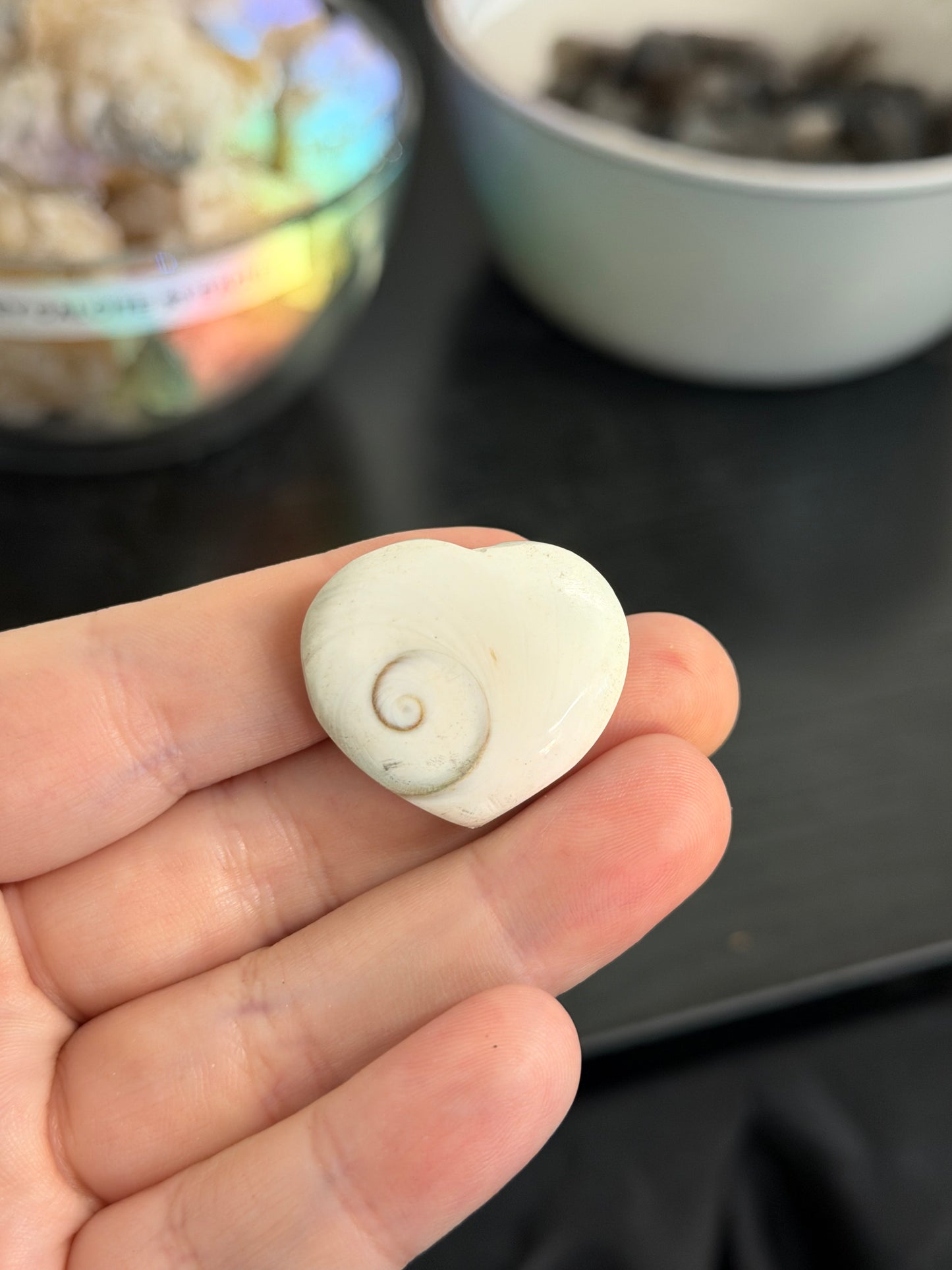 shiva eye shells