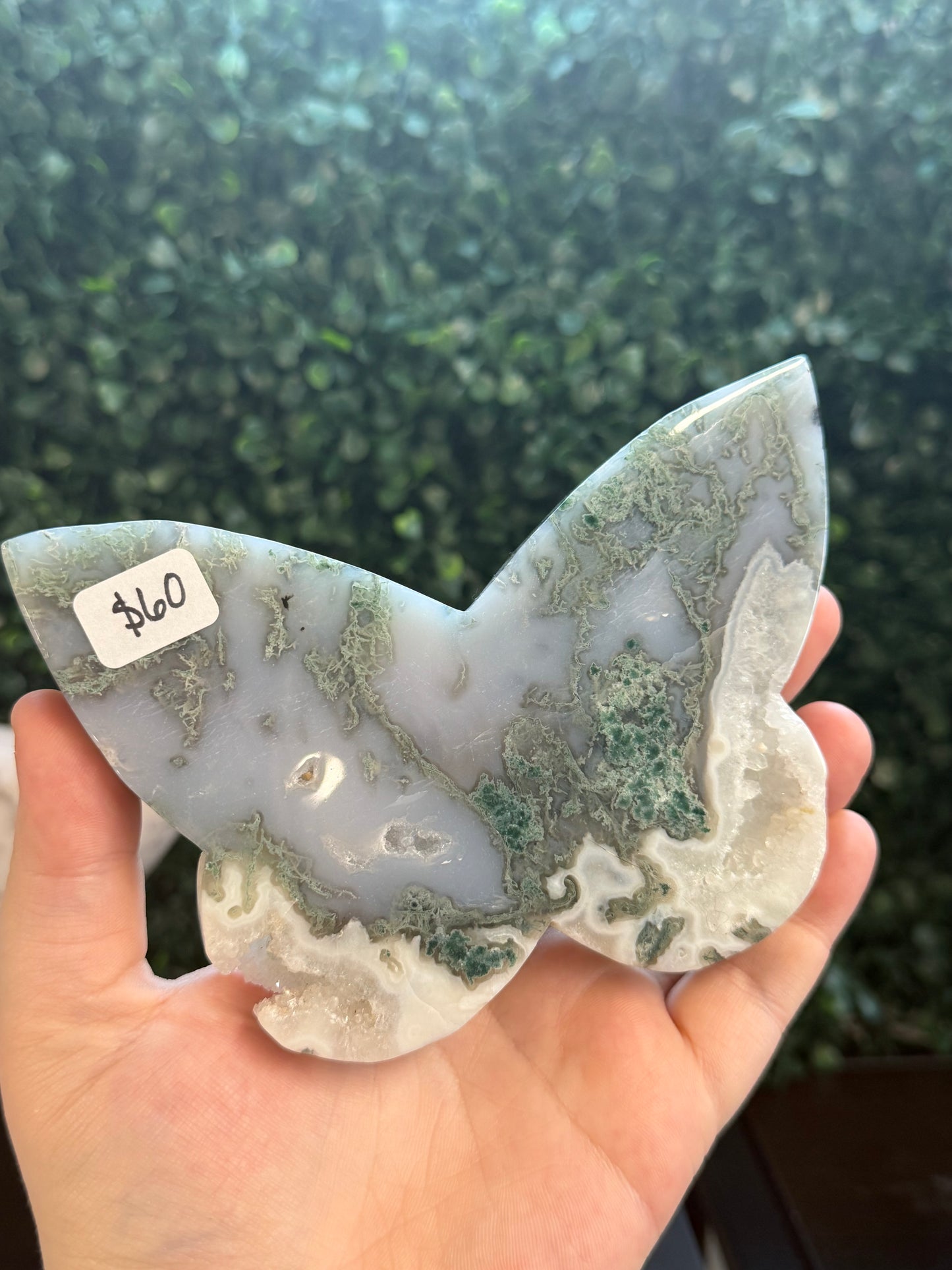 moss agate butterfly