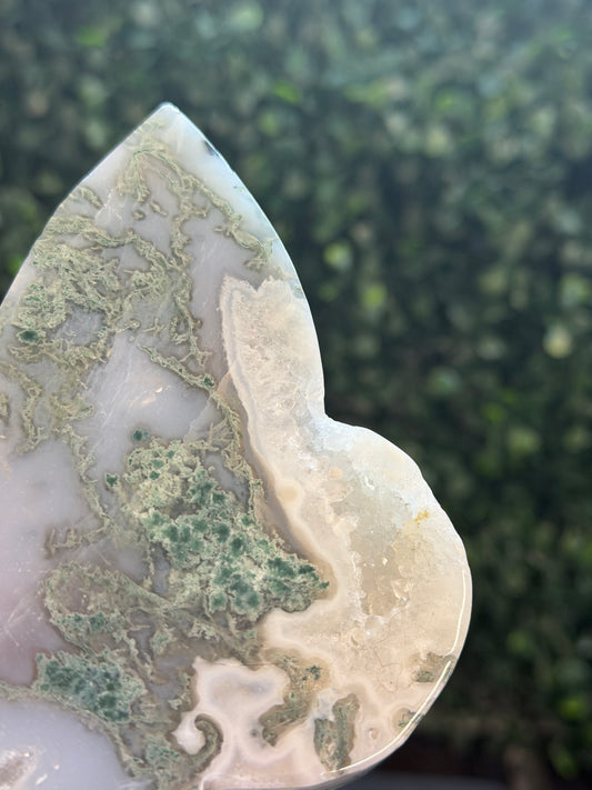 moss agate butterfly