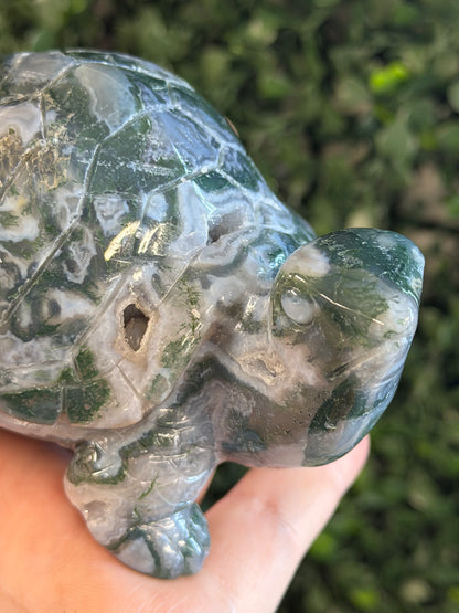 moss agate turtle