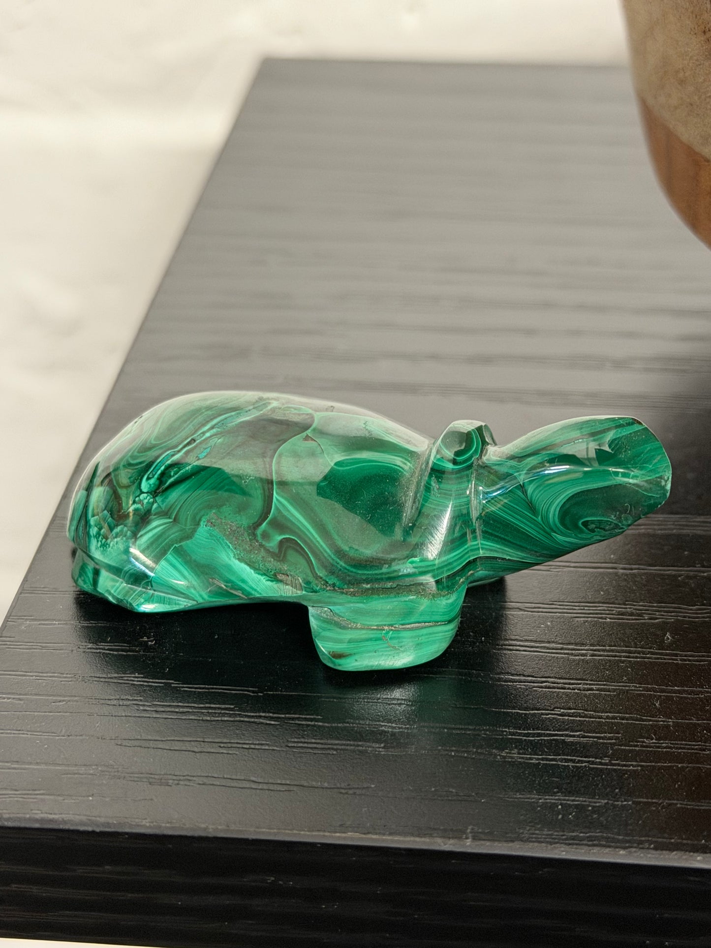 malachite turtle