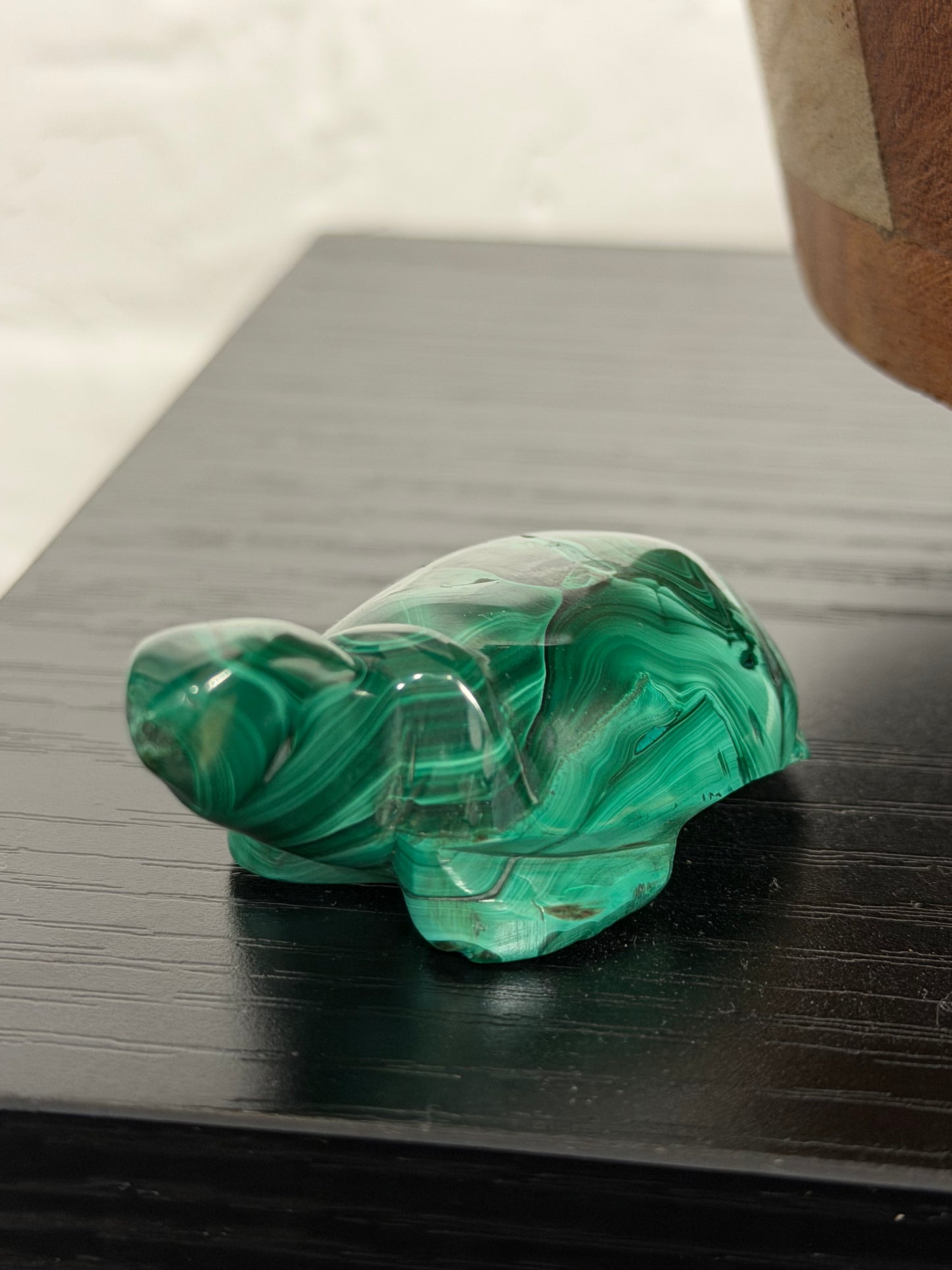 malachite turtle