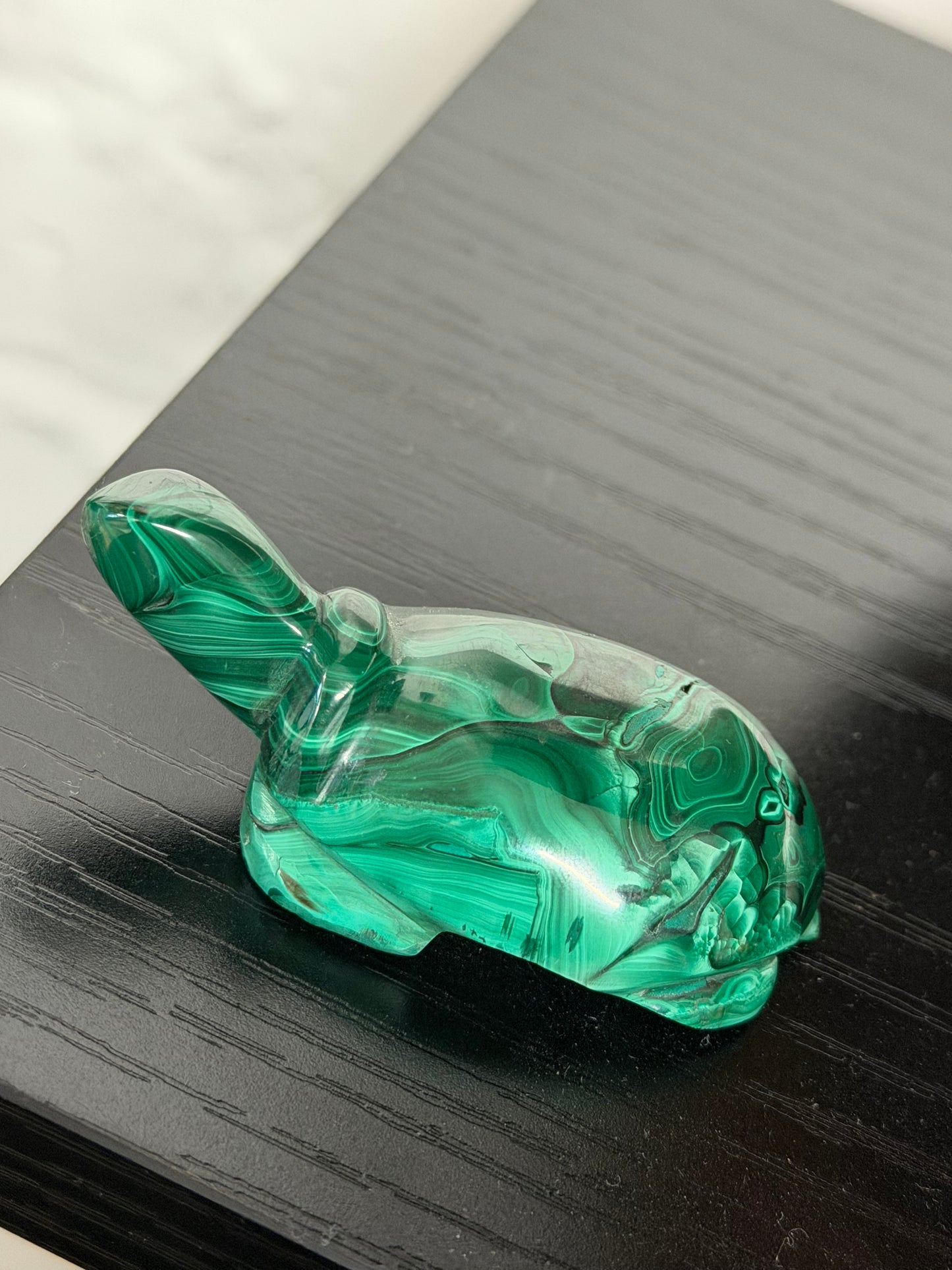 malachite turtle