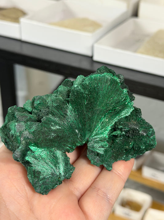 high quality velvet malachite