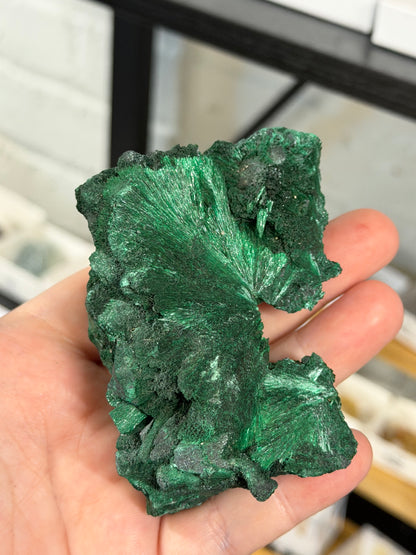 high quality velvet malachite