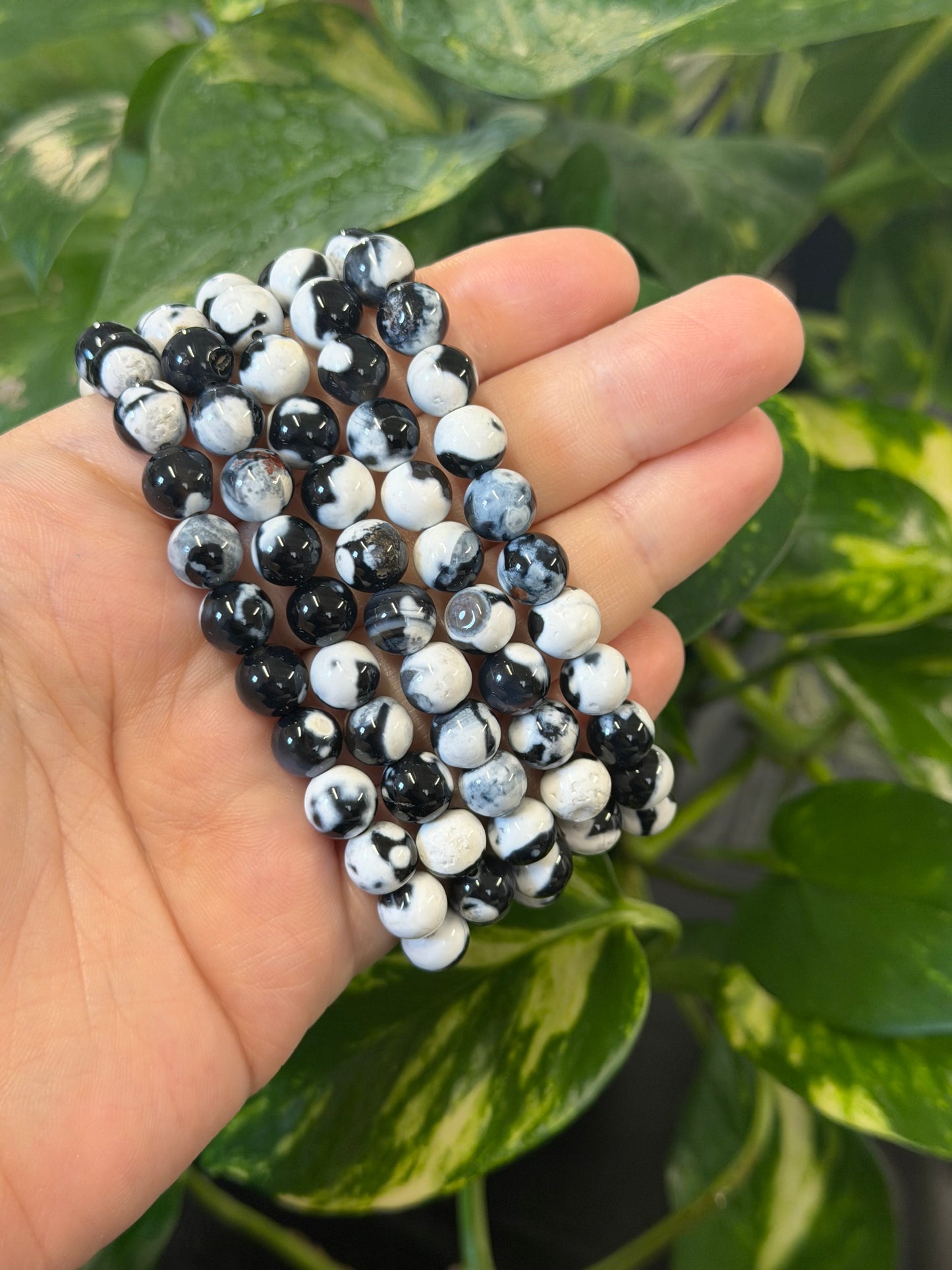 orca agate bracelet 8mm